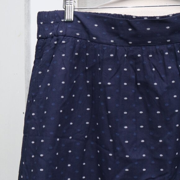 LOFT Blue w White & Lt Blue Dot Pattern Cotton Gauze Lined A-Line Skirt Sz LARGE - Picture 2 of 6